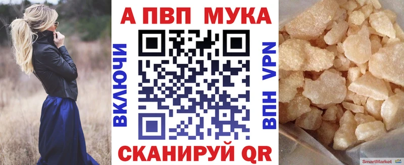 МЕГА как войти  дарнет шоп  Сегежа  А ПВП СК 