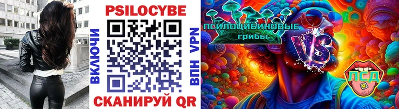 Псилоцибиновые грибы GOLDEN TEACHER  Сегежа 