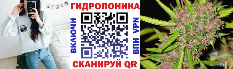 Конопля VHQ  Сегежа 